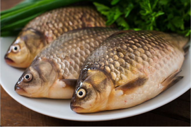 Sơ chế thịt cá chép giúp món cháo cá chép cho bé không bị tanh