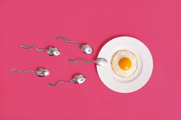 Rụng trứng và thụ thai có liên quan mật thiết với nhau