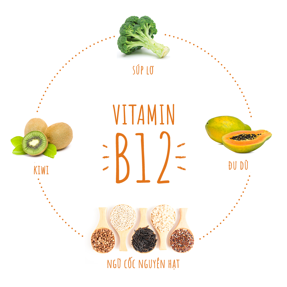 Vitamin B12 rất quan trọng trong quá trình tạo ra hồng cầu