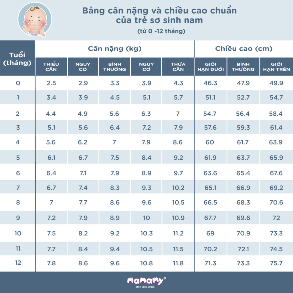 Bảng cân nặng chuẩn của bé trai từ 0 – 12 tháng tuổi