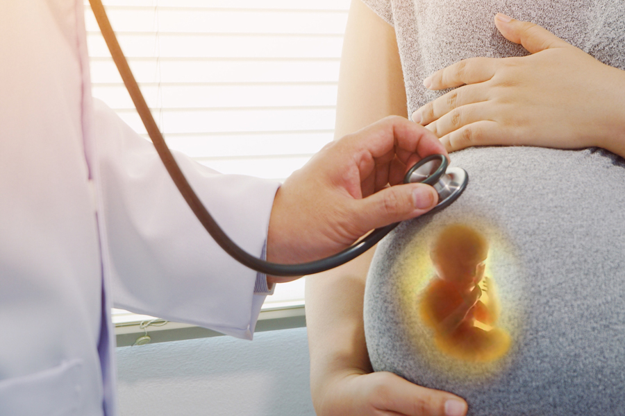 Tìm hiểu sự phát triển thai nhi qua các tuần thai kỳ