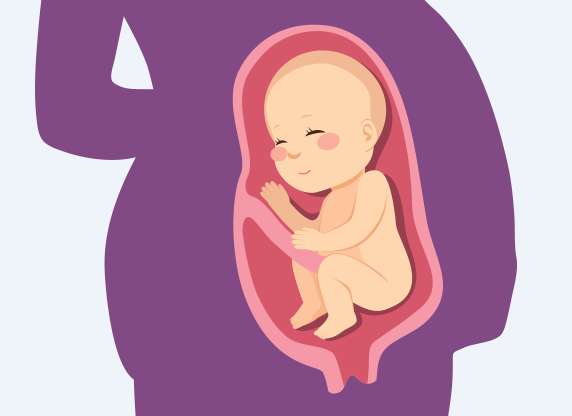 Thai vào tử cung là bước quan trọng nhất trong hành trình thụ thai