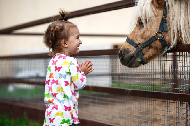 Sở thú hoặc trang trại là cách tốt nhất để dạy bé những con vật mà bé thích nhất.