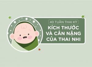 Hiểu rõ cân nặng thai nhi, cân nặng của bé giúp mẹ chăm bé tốt hơn