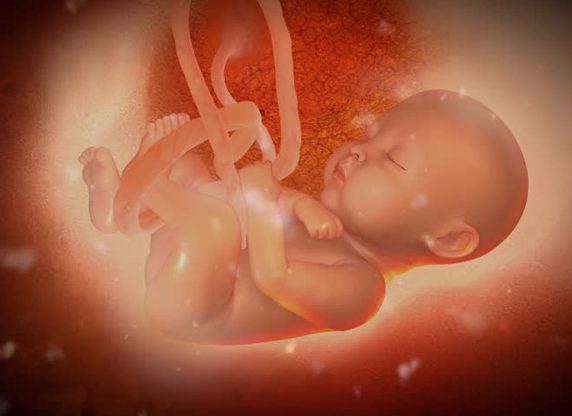 Thai vào tử cung – Quá trình kì diệu của tạo hóa