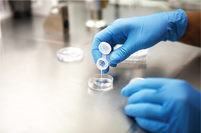 Tinh trùng và trứng được thực hiện thụ tinh trong môi trường phòng thí nghiệm