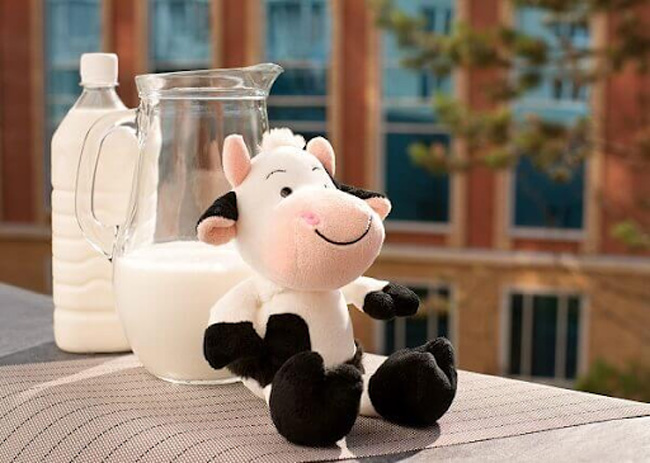 Lựa chọn sữa còn hạn sử dụng, mới sản xuất để chất lượng sữa được tốt nhất