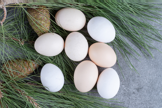 Hàm lượng chất sắt trong trứng ngỗng sẽ giúp mẹ cải thiện tình trạng thiếu máu