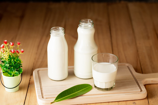 Sữa tươi chứa nhiều canxi và vitamin D hỗ trợ bé phát triển chiều cao