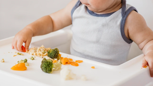 Phương pháp BLW giúp bé tự chủ động ăn thay vì đợi mẹ bón