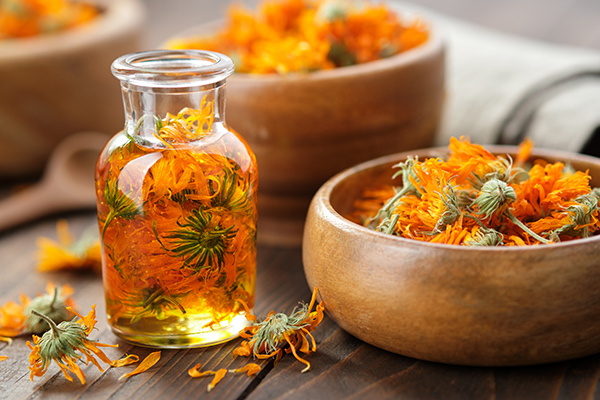 Tinh dầu hoa cúc vạn thọ – công dụng thần kỳ trong dược mỹ phẩm