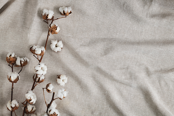 Ứng dụng của Cotton chải trong sản xuất và đời sống