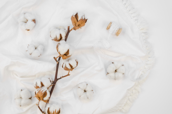 Cotton là một trong những loại vải sợi tự nhiên tốt nhất được các bậc phụ huynh tin dùng