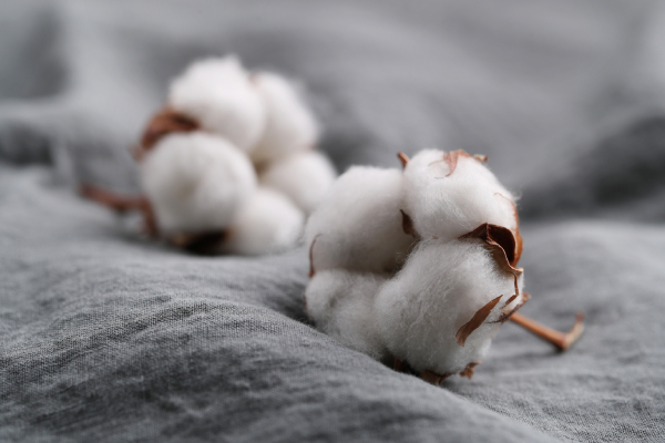 Ưu điểm của loại sợi cotton cho mẹ yêu tham khảo