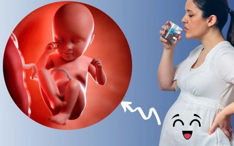 So sánh Elevit và Prenatal: Nên chọn Elevit hay Prenatal?